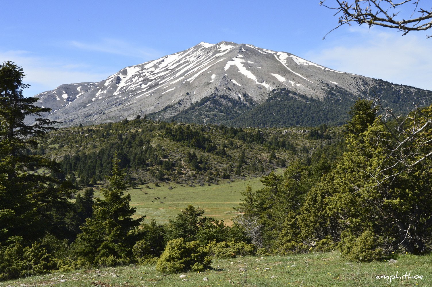 View of Mount Ziria by Amphithoe