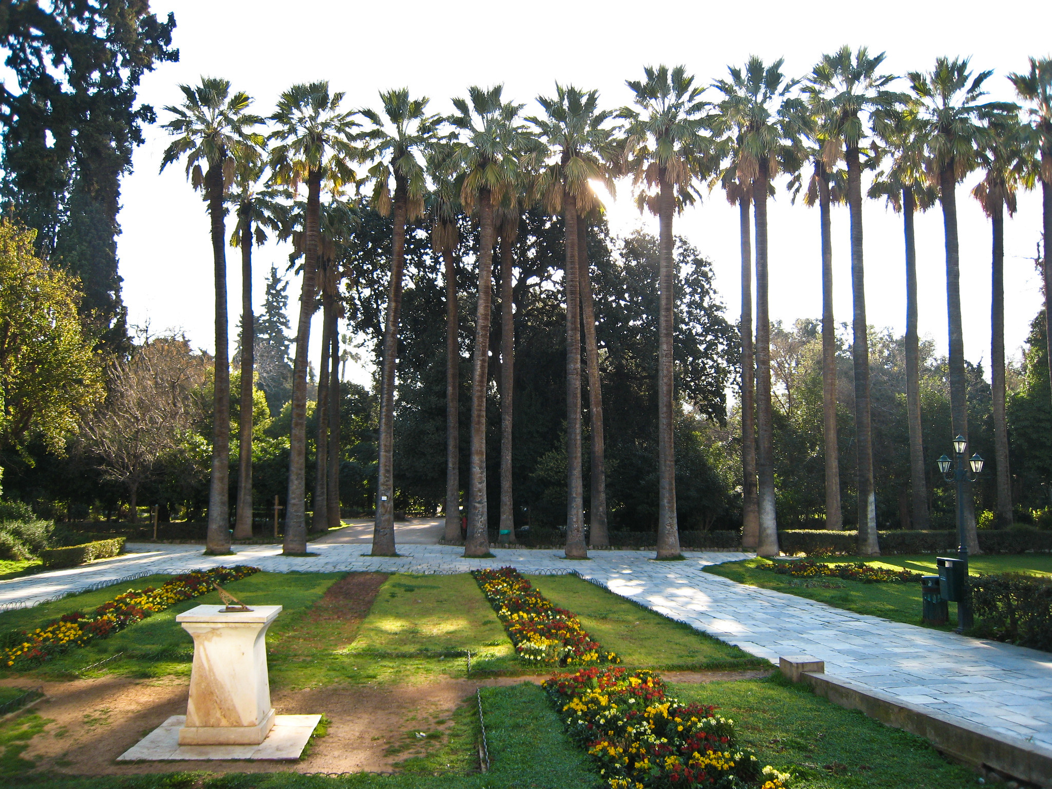 Palms and Sundial in the National Garden of Athens by Sharon Mollerus