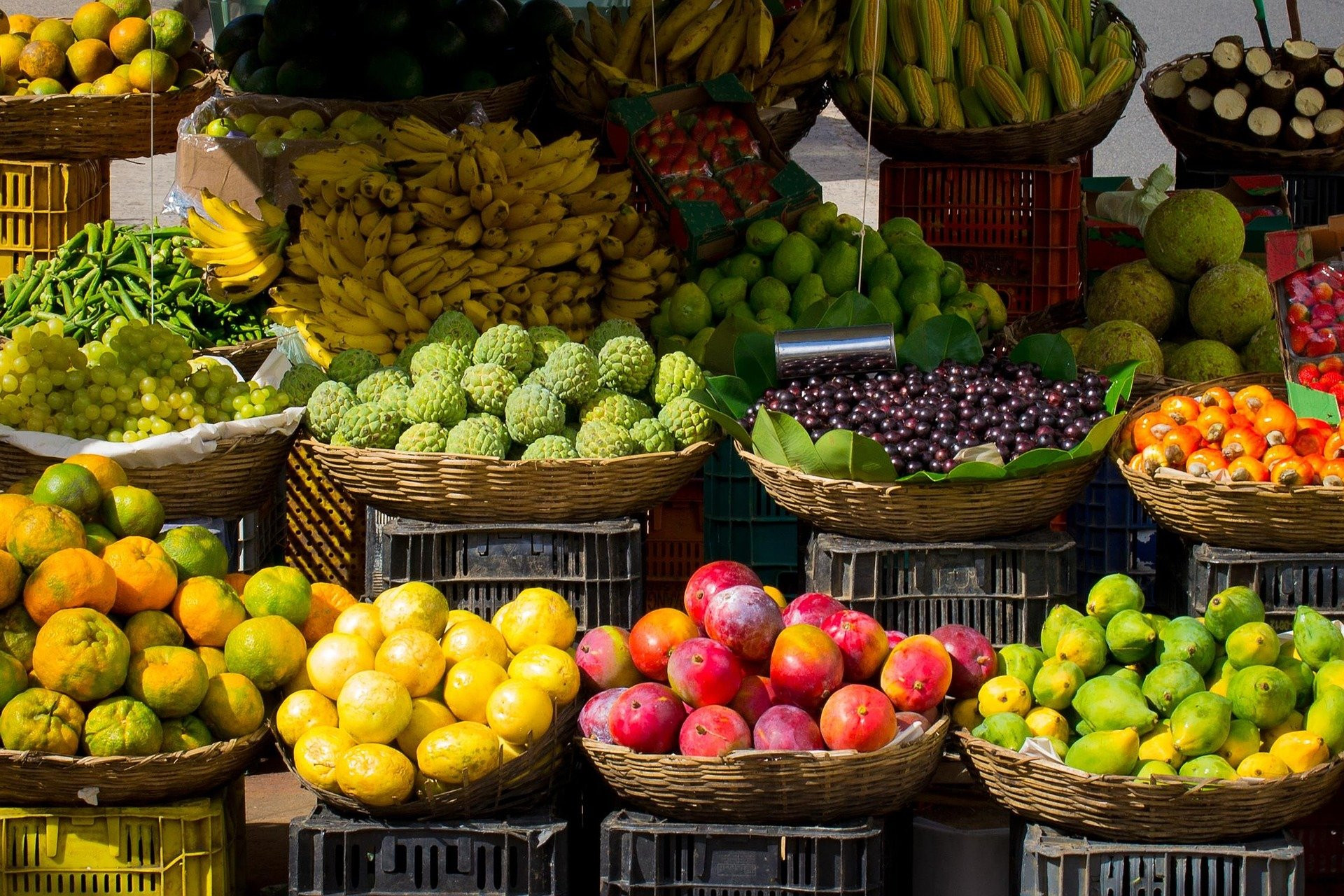 Organic Fruit Market