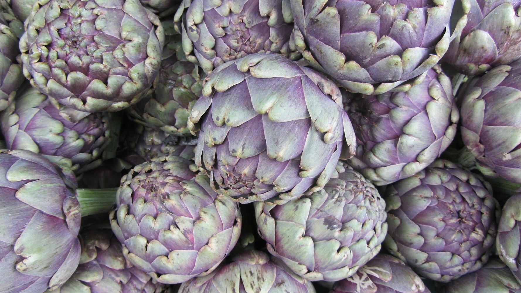 Artichokes