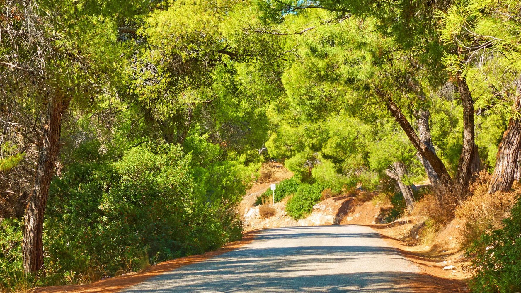 Trekking_Aegina