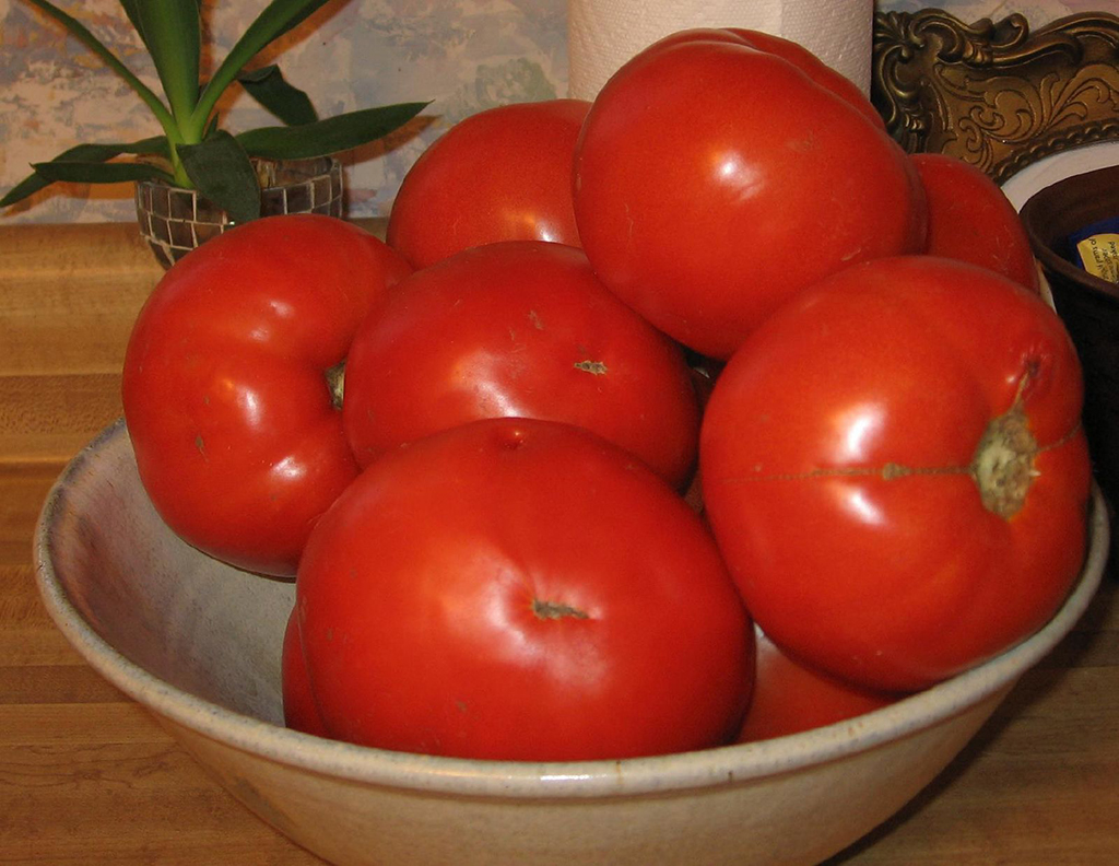gemista-tomatoes
